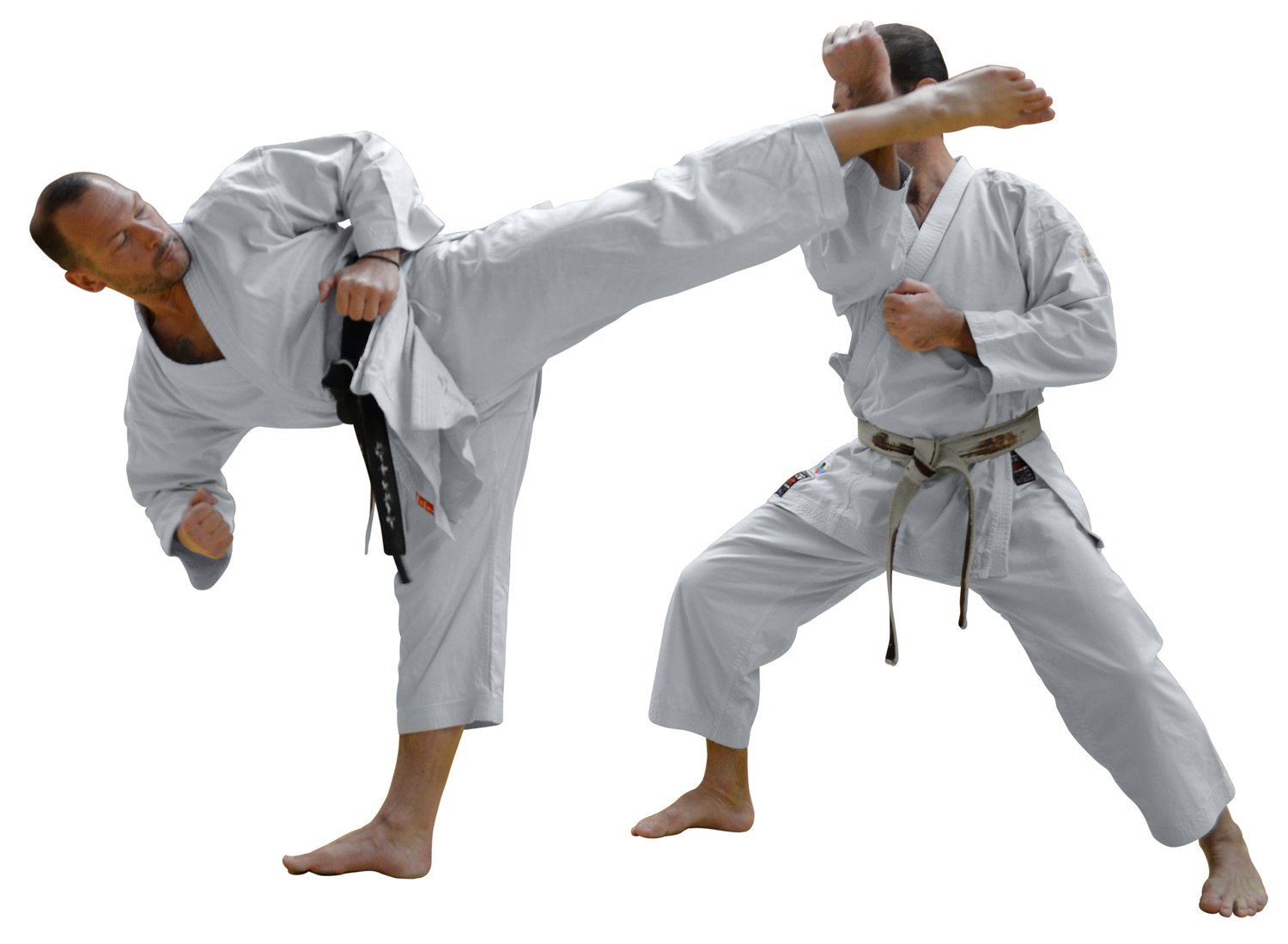 Eric Delannoy - Ceinture Noire 5ème DAN Karaté Shotokan