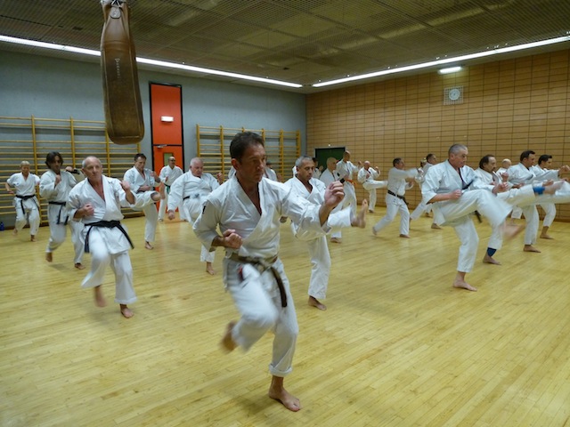 Cours Karate Paris Eric Delannoy