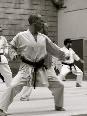 Kata Shotokan Tekki Shodan Eric Delannoy
